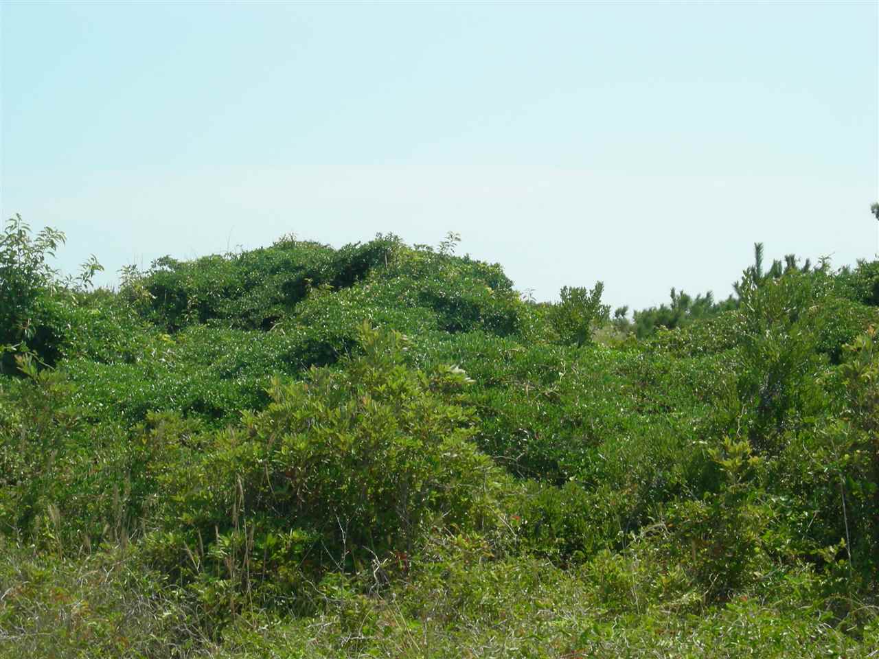 Duck oceanfront homes and oceanfront beach houses, condos, real estate